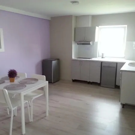 Apartment Jester *